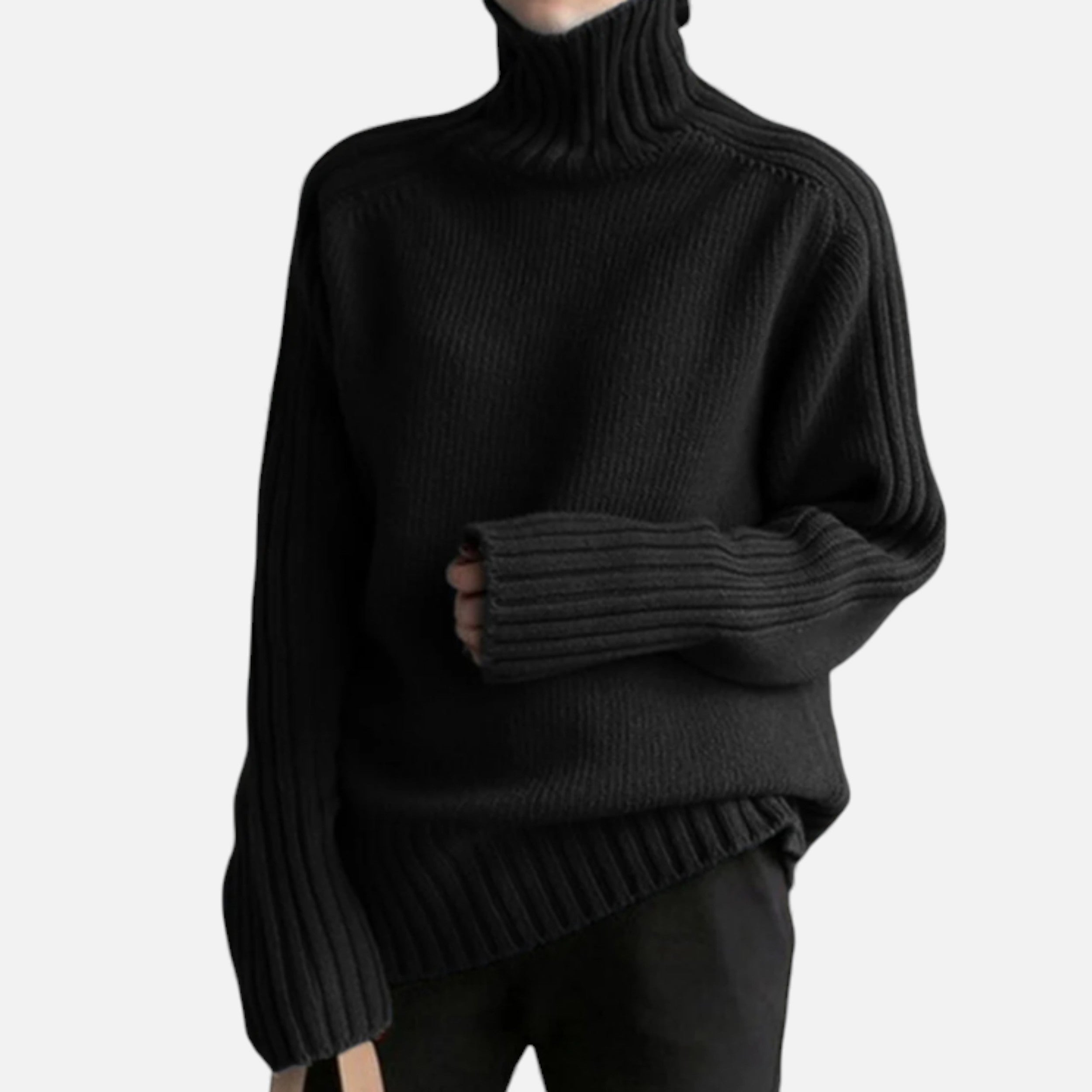 Lurvain | Ribbed Knit Sweater with Mock Neck